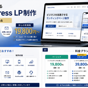 Saino LP Pro